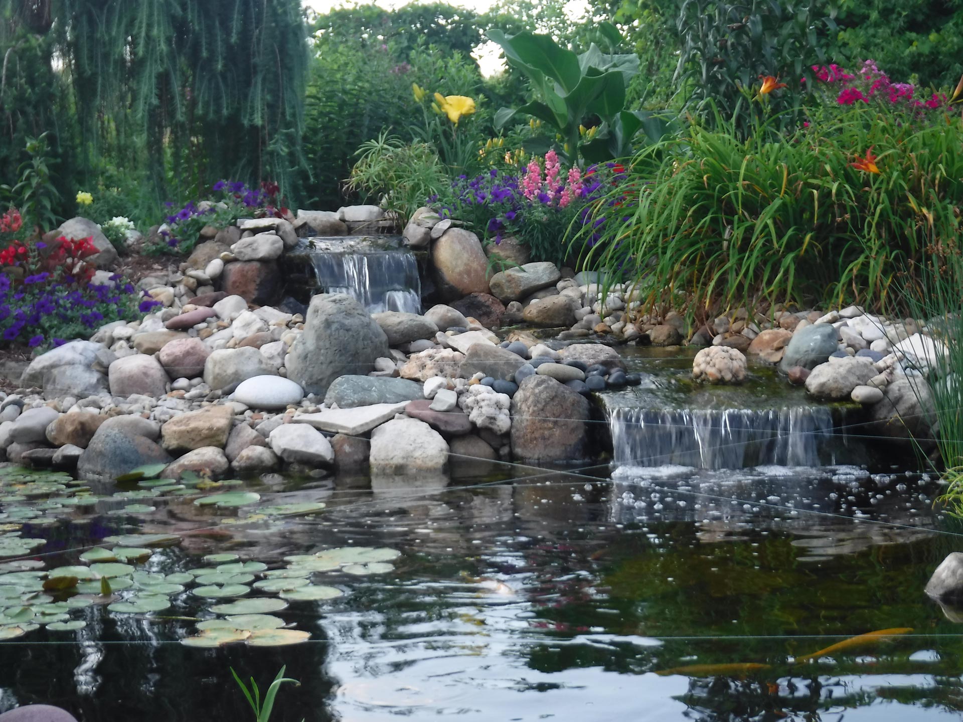 Pond-colorado-16-077